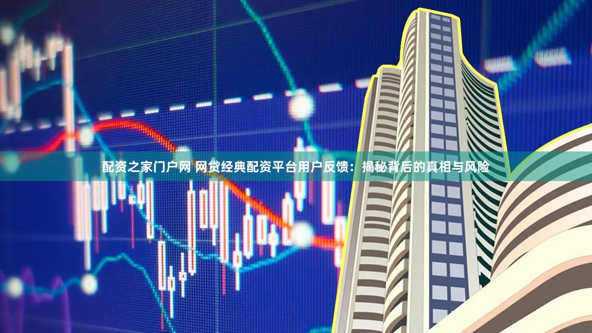 配资之家门户网 网贷经典配资平台用户反馈：揭秘背后的真相与风险