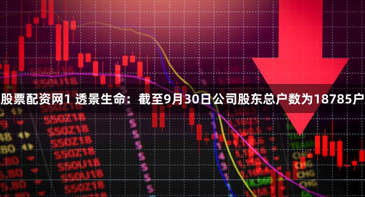 股票配资网1 透景生命：截至9月30日公司股东总户数为18785户