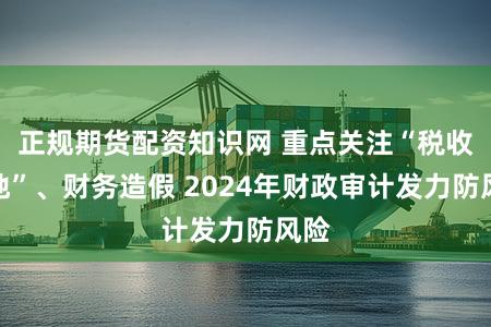 正规期货配资知识网 重点关注“税收洼地”、财务造假 2024年财政审计发力防风险