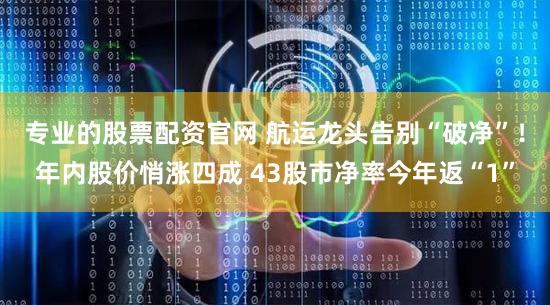 专业的股票配资官网 航运龙头告别“破净”!年内股价悄涨四成 43股市净率今年返“1”