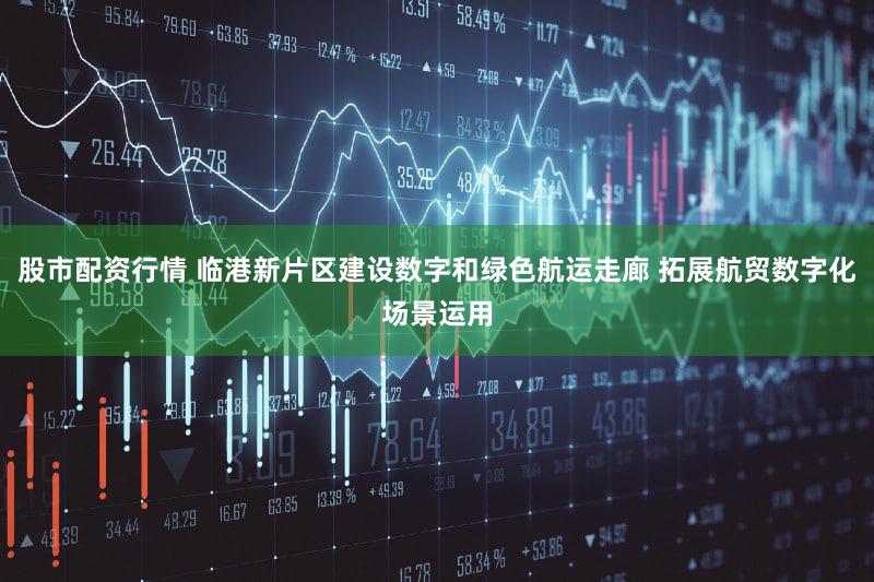 股市配资行情 临港新片区建设数字和绿色航运走廊 拓展航贸数字化场景运用