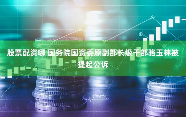 股票配资哪 国务院国资委原副部长级干部骆玉林被提起公诉