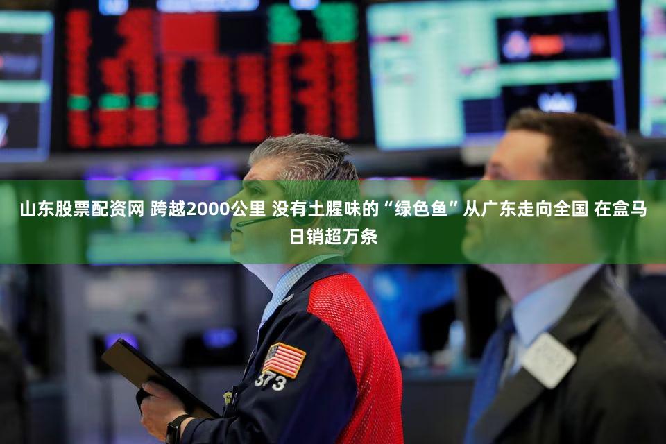 山东股票配资网 跨越2000公里 没有土腥味的“绿色鱼”从广东走向全国 在盒马日销超万条
