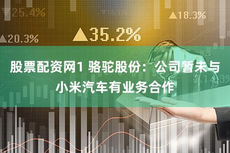 股票配资网1 骆驼股份：公司暂未与小米汽车有业务合作