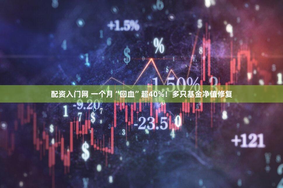 配资入门网 一个月“回血”超40%！多只基金净值修复