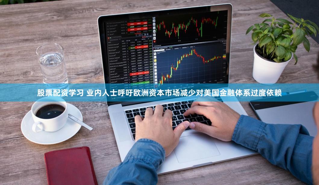 股票配资学习 业内人士呼吁欧洲资本市场减少对美国金融体系过度依赖