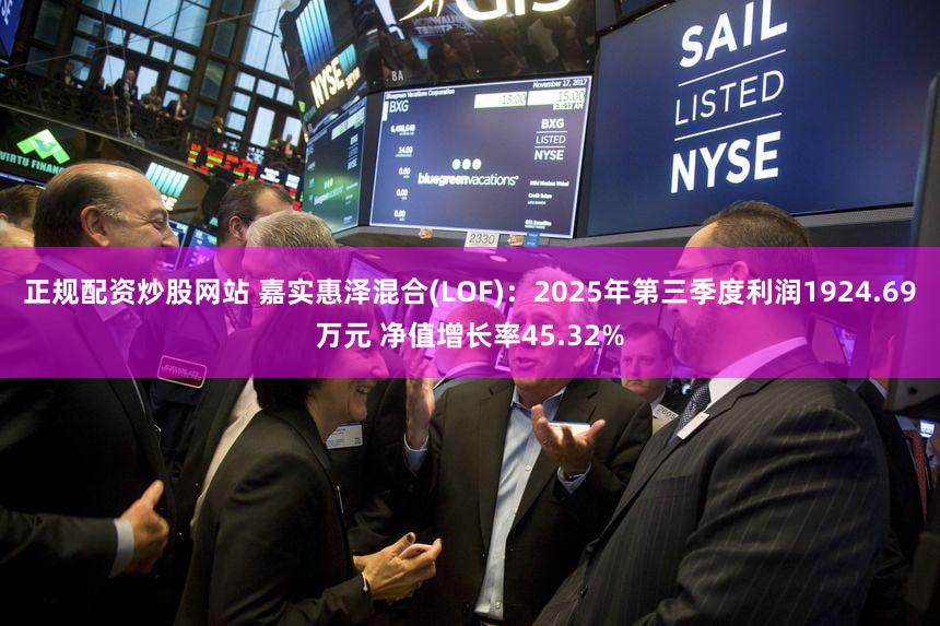 正规配资炒股网站 嘉实惠泽混合(LOF)：2025年第三季度利润1924.69万元 净值增长率45.32%