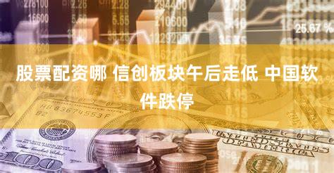 股票配资哪 信创板块午后走低 中国软件跌停